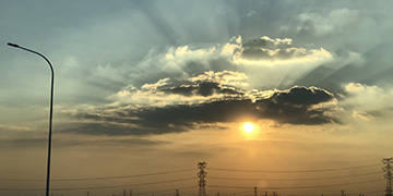 莲都悦旭技术优势